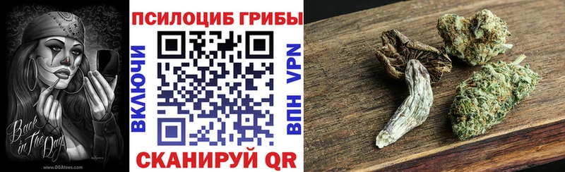 купить   Ростов-на-Дону  сайты даркнета наркотические препараты  Псилоцибиновые грибы Psilocybine cubensis 